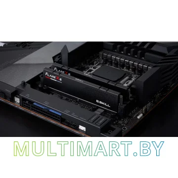 Оперативная память G.Skill Flare X5 2x24GB DDR5 PC5-41600 (F5-5200J4040A24GX2-FX5) картинка 4